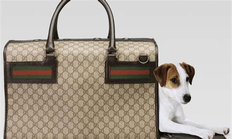 accessori per cani gucci e burberry subito.it|Oggetti e Accessori di Lusso per Animali .